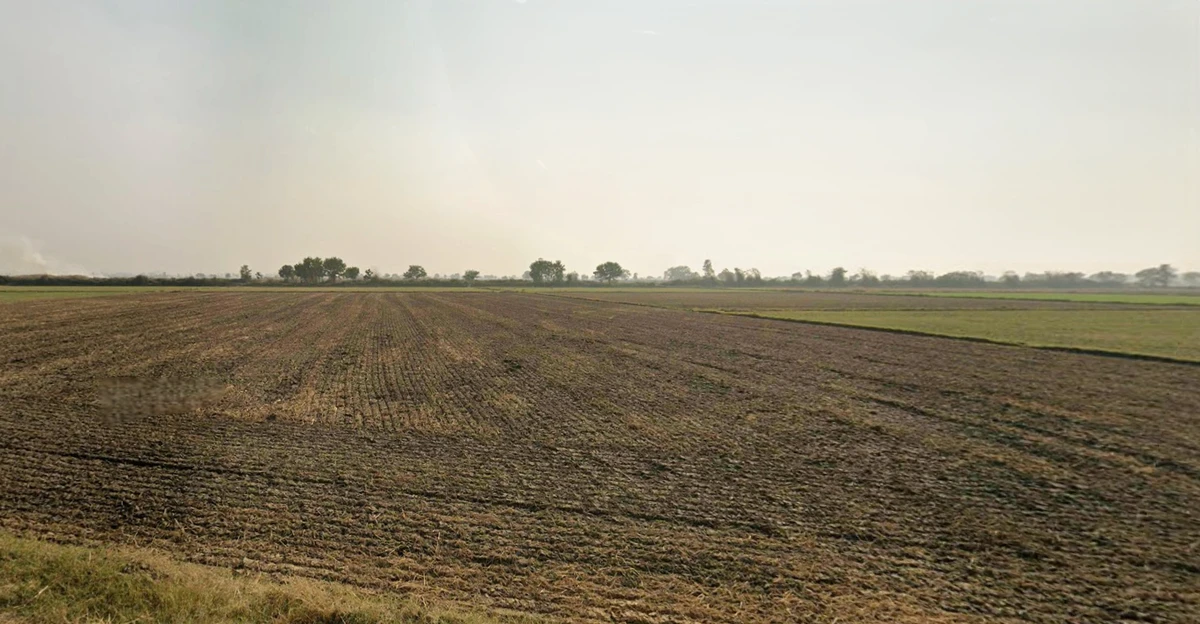 Agricultural Land in Barasat, nera - duttapukur police station, North-24-parganas