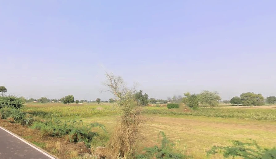 Bhattu Mandi, Haryana 125053, India
