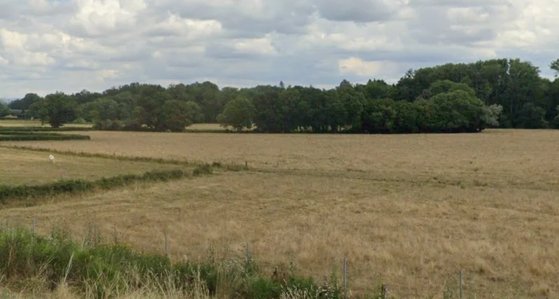 Sojna, Madhya Pradesh, India