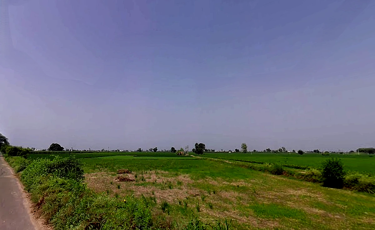 Bhustala, Pipli Majra, Haryana 136130, India