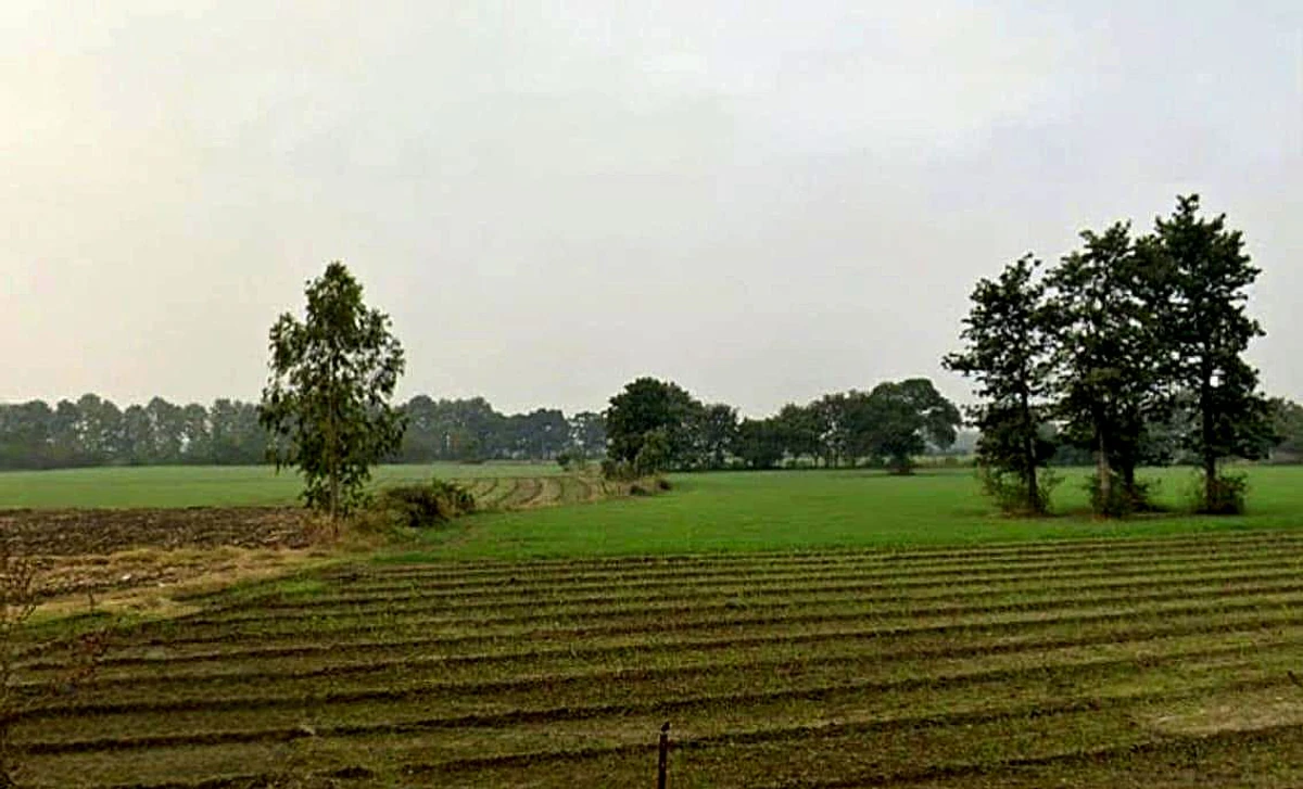 Ghasipura, Madhya Pradesh 462038, India