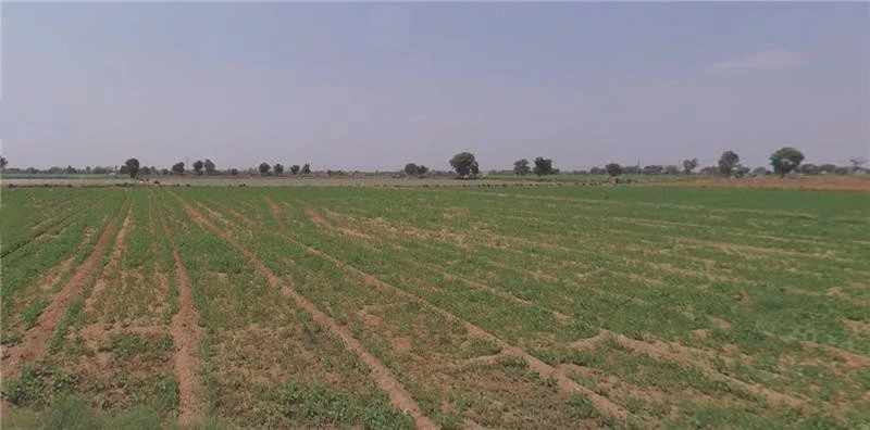 Khandiya, Gujarat 363410, India