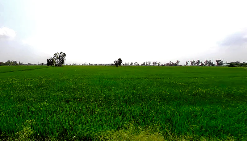 Sanaur Rd, Sunny Enclave, Patiala, Punjab, India preview 3