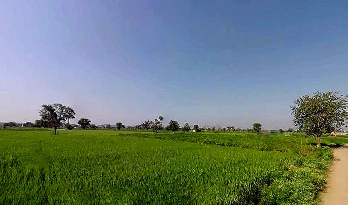 Milkpur, Rajasthan 301026, India