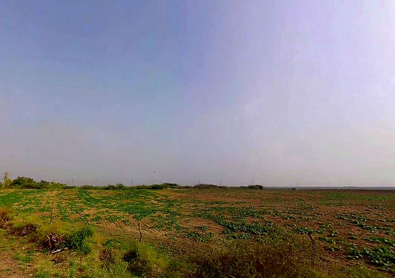 J69C+GQ2, Badakhera, Rajasthan 323603, India