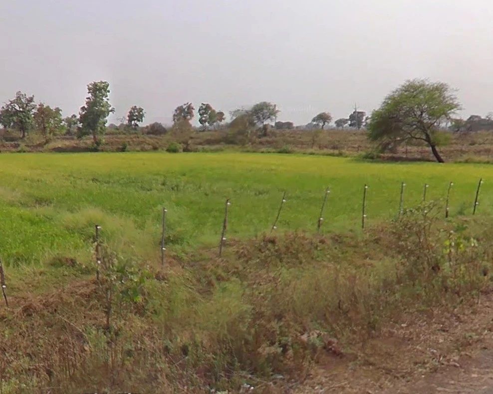 Jhalap, Chhattisgarh 493551, India