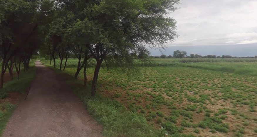 Chunar, Uttar Pradesh 231304, India