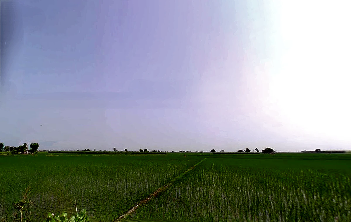 Kurlan, Haryana 132046, India