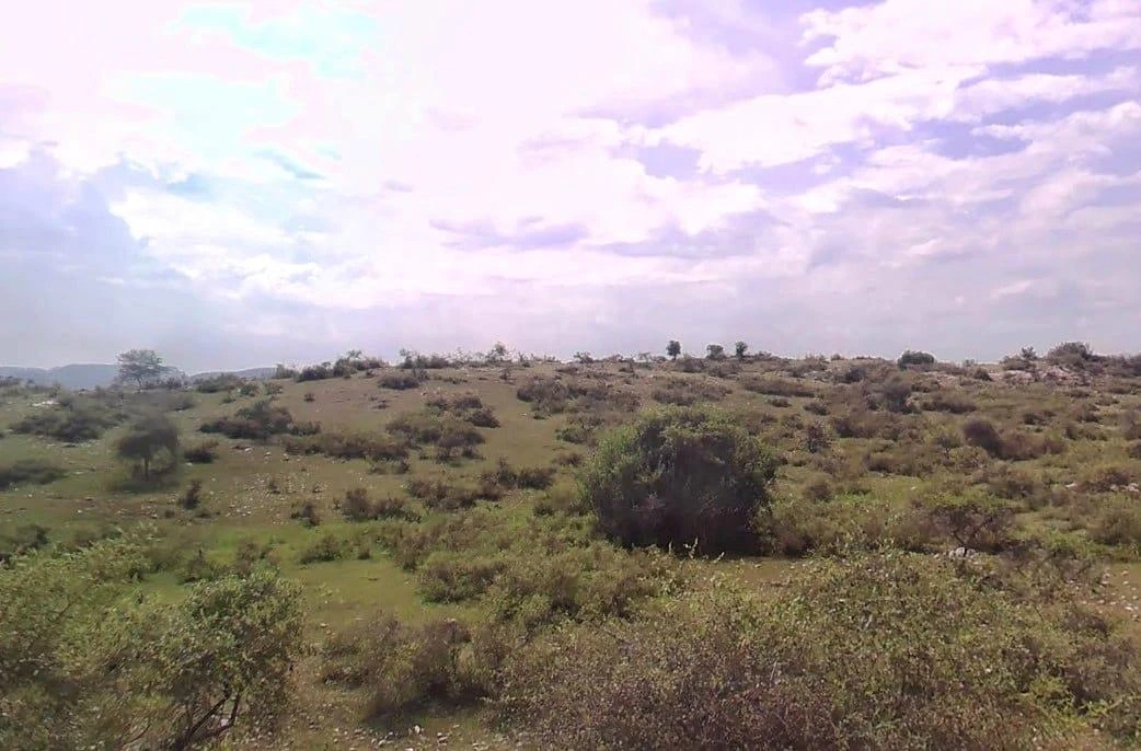 GWW5+5W Asawara, Rajasthan, India