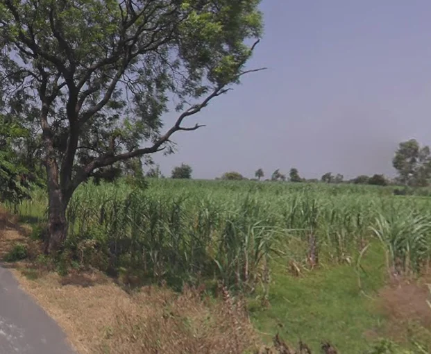 Moradabad, Uttar Pradesh, India preview 3