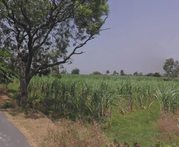 Moradabad, Uttar Pradesh, India