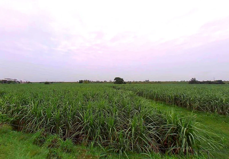 Mirapur, Uttar Pradesh, India preview 2