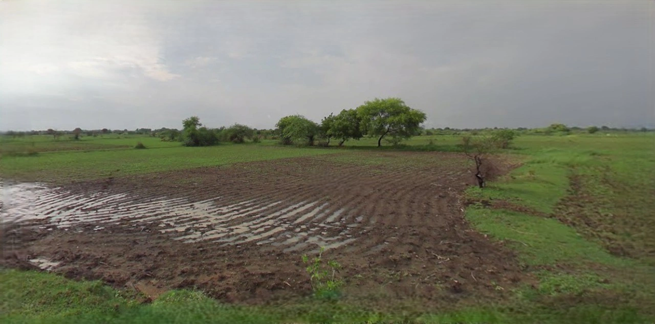 Khandwa, Madhya Pradesh 450001, India