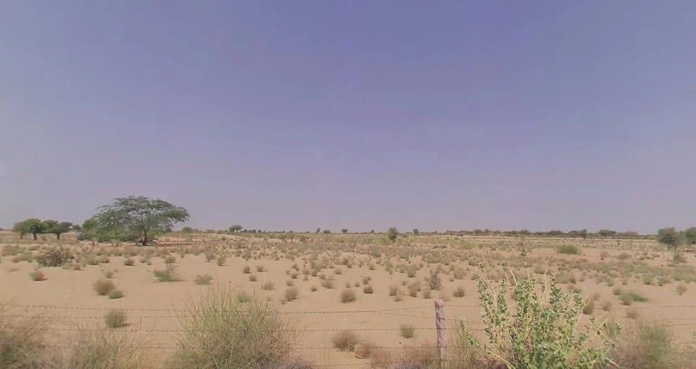 Kolayat, Rajasthan 334302, India