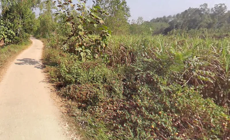 Biharigarh, Uttar Pradesh 247662, India preview 3