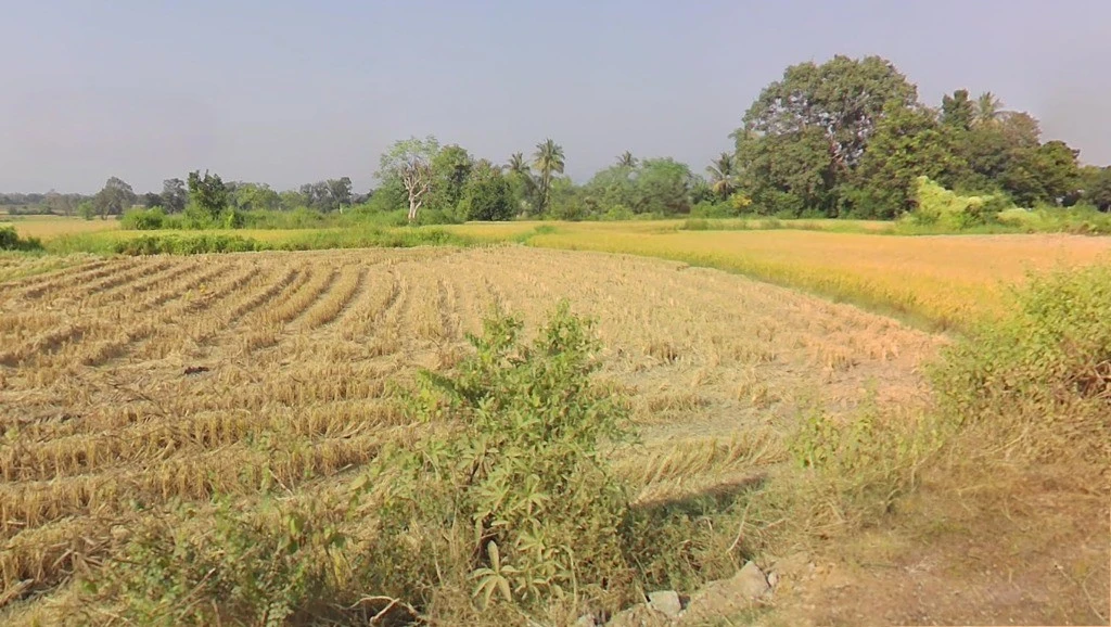 Chhindoli, Chhattisgarh 493996, India