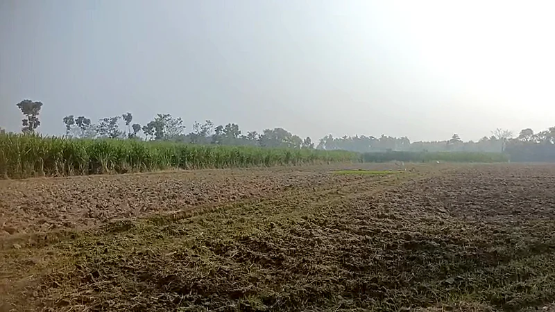 9R47+WX Bannur Rural, Karnataka, India