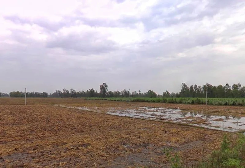 Puranpur Rd, Navadia Mankanth, Uttar Pradesh, India preview 3