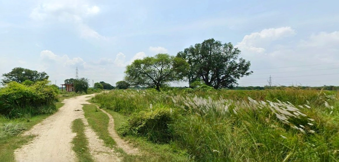 Mohanlalganj, Uttar Pradesh 226301, India