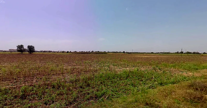 Agricultural Land in Mandal/endla, Ahmedabad