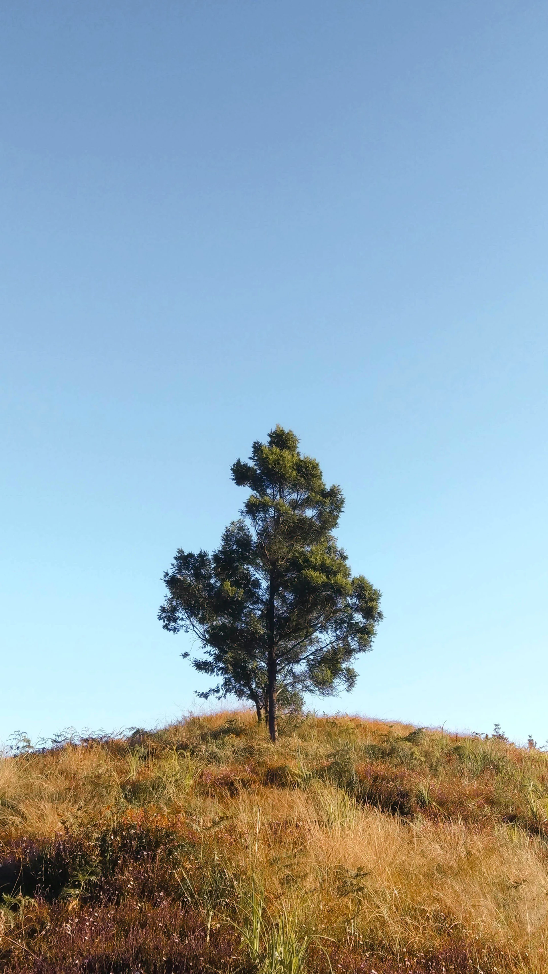 Nicobar Islands, 744303