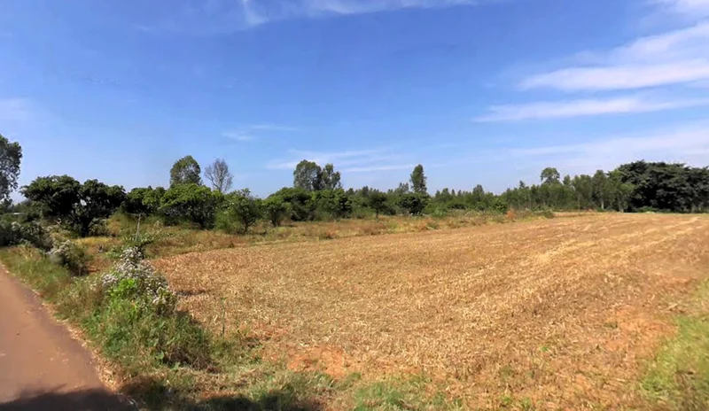 Agricultural Land in Nelamangala taluk, dabaspete, Bengaluru-rural