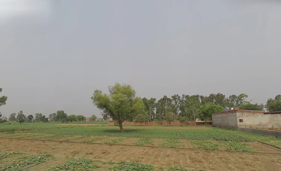 Kashipur, Uttarakhand 244713, India