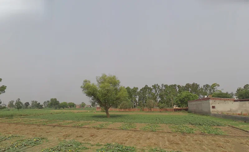 Kashipur, Uttarakhand 244713, India