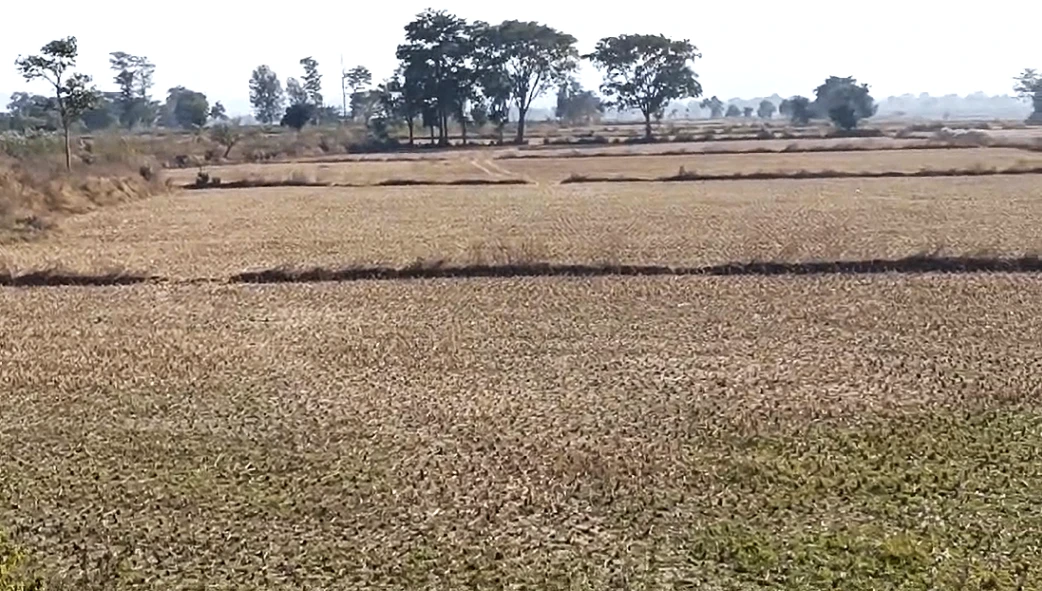 Bundu, Jharkhand 835204, India