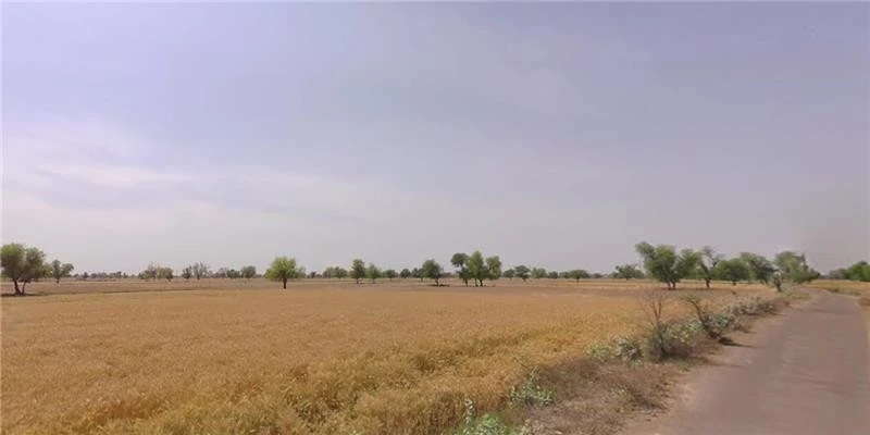 AGRICULTURAL in Kunkrej/Shihori , banaskantha