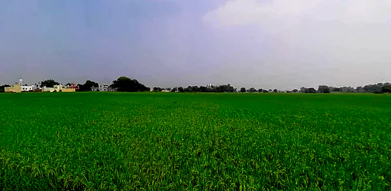 Phagwara, Punjab, India preview 2