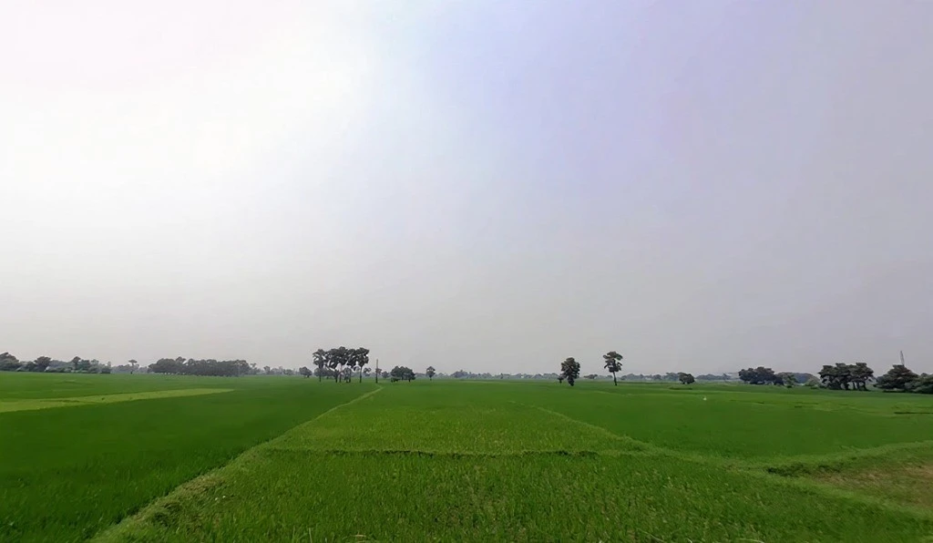 Sondhi, Bihar 811311, India