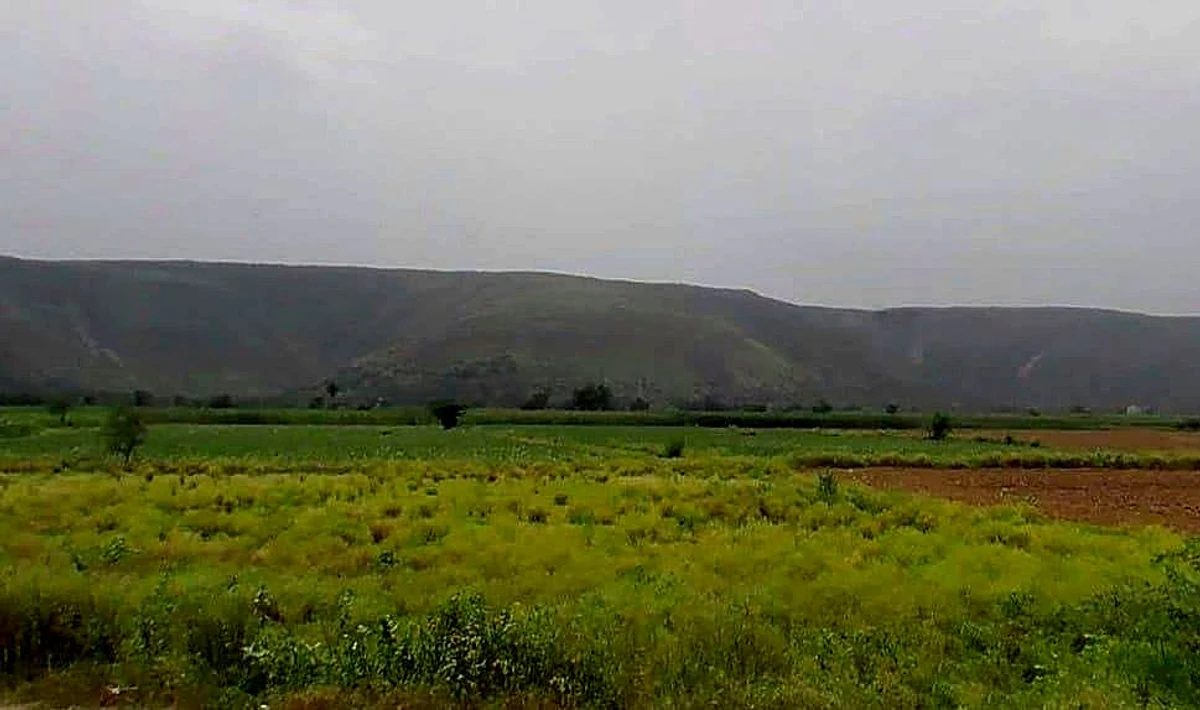 VX27+M9W, Nasirbas, Haryana, India