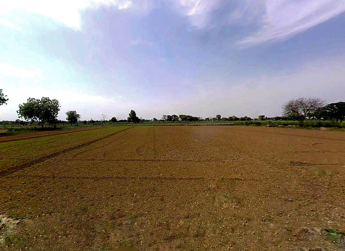 Agricultural Land in Badnaura, Bulandshahr
