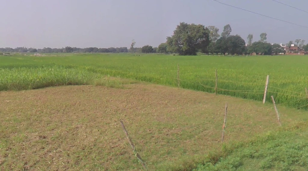 Tuiyapani, Madhya Pradesh, India