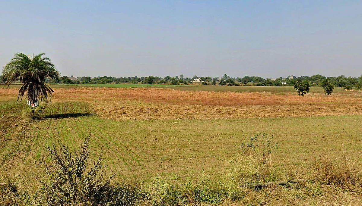Barrai, Madhya Pradesh 462047, India