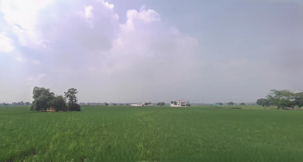 Daddu Majra Colony, Chandigarh, 160014, India