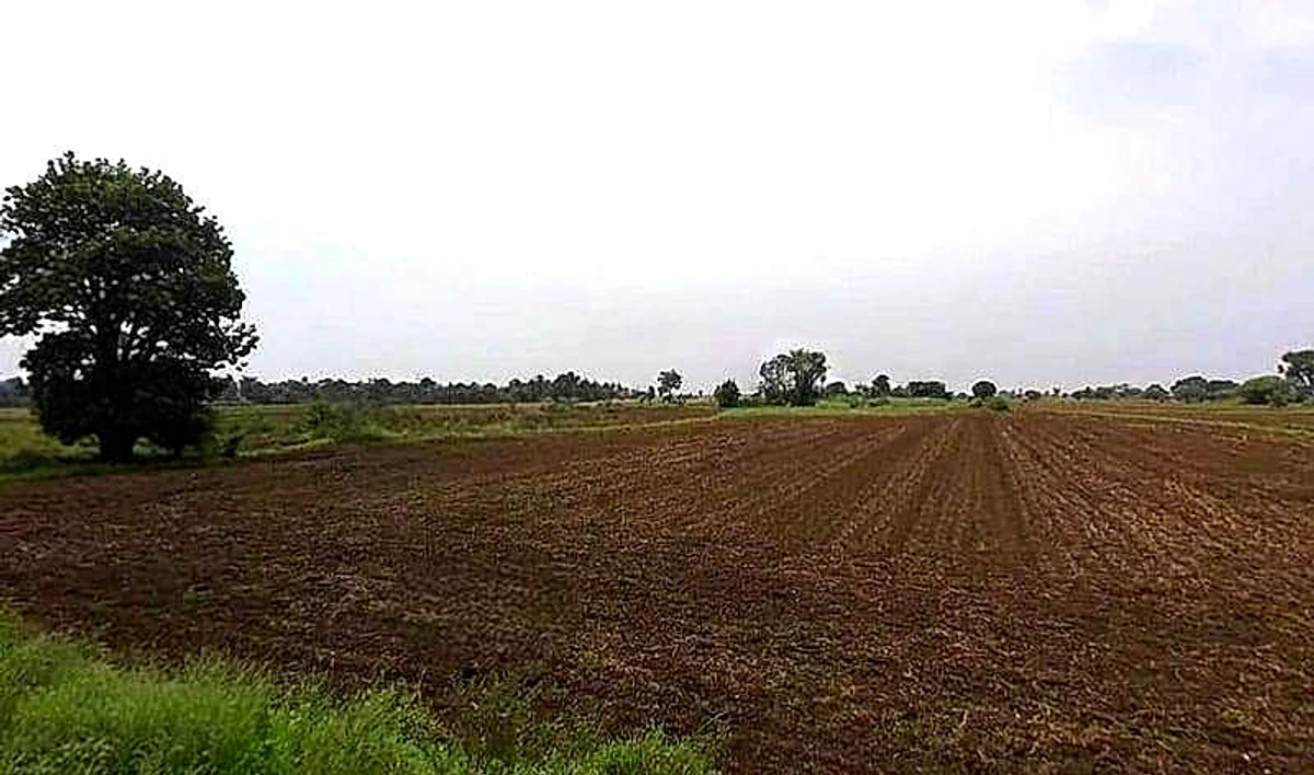 Gora Khedi, Madhya Pradesh 466115, India