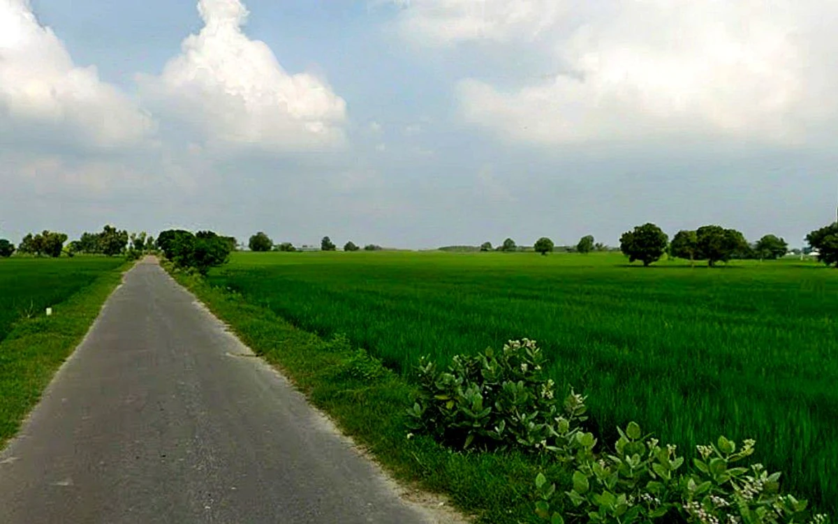 Ghorbhatt, Chhattisgarh 493225, India