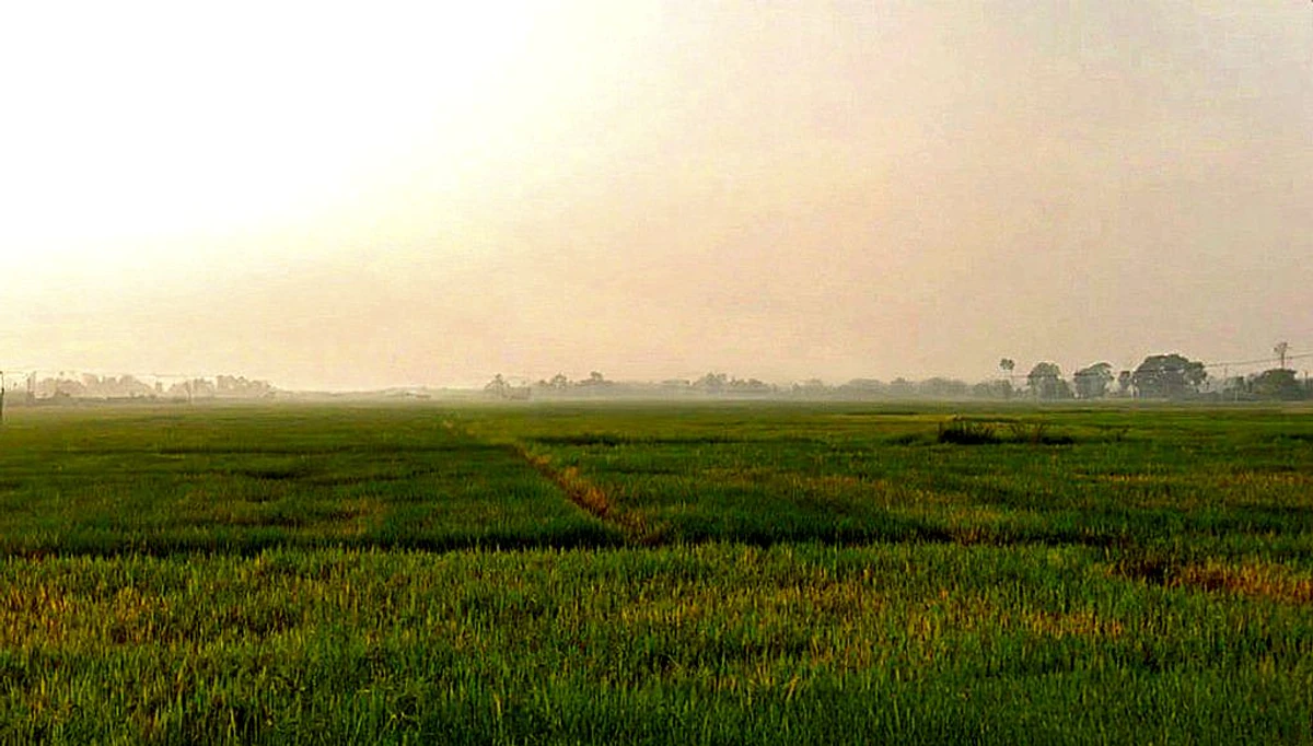 Agricultural Land in Naubatpur, Patna