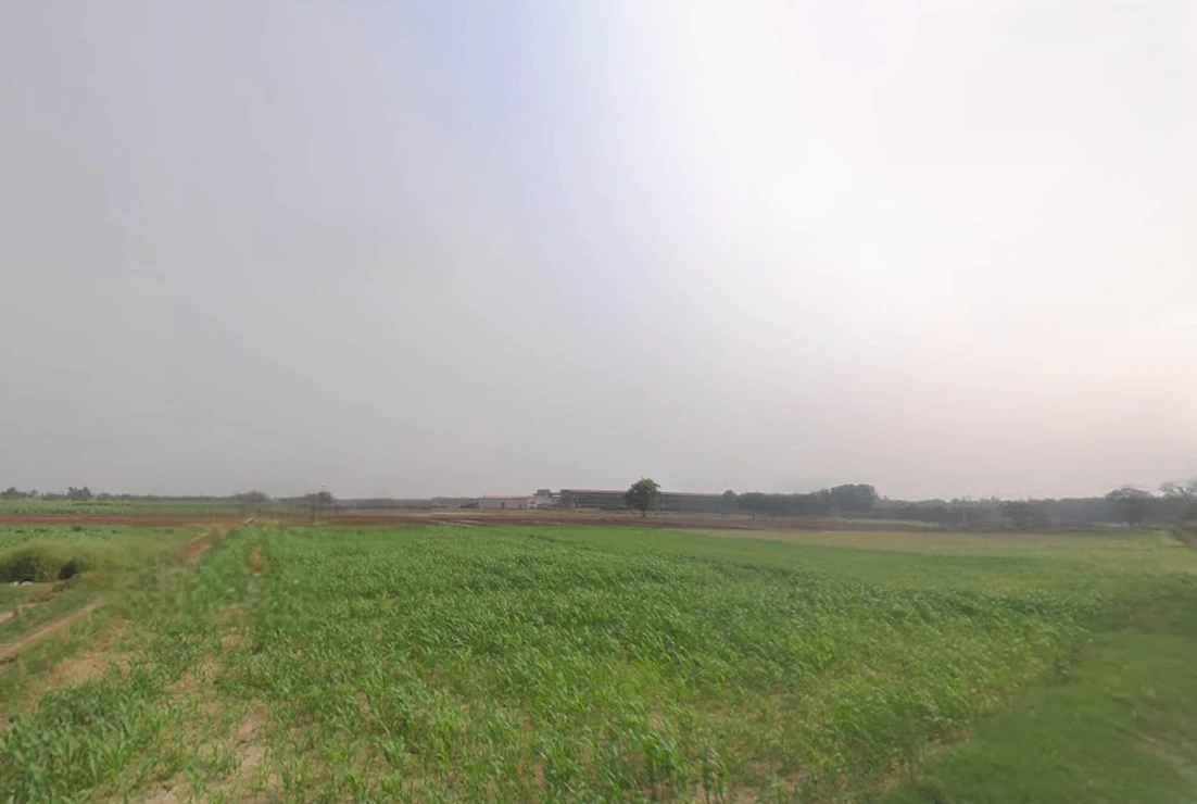 Morinda - Chunni Rd, Bhateri, Punjab, India