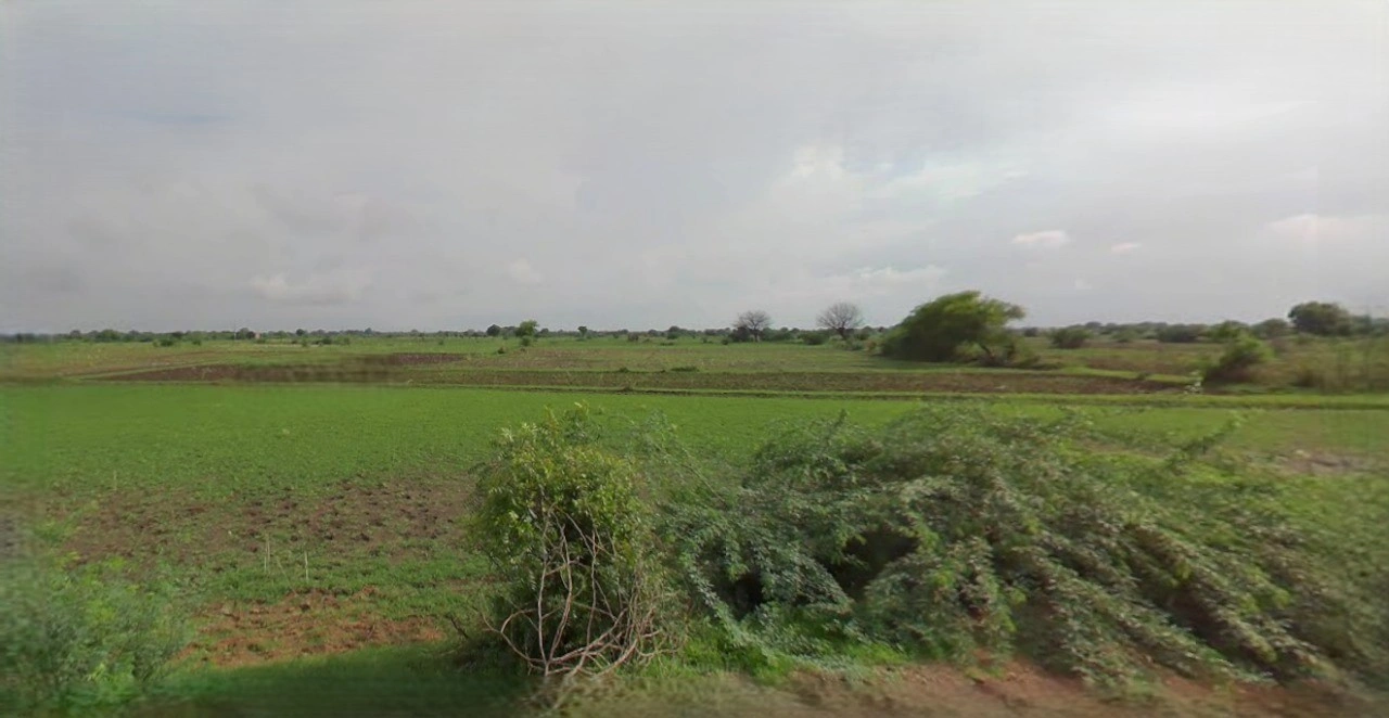 Khandwa, Madhya Pradesh 450001, India
