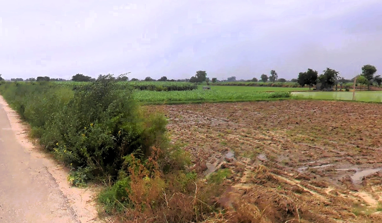 Jassia, Haryana 124303, India