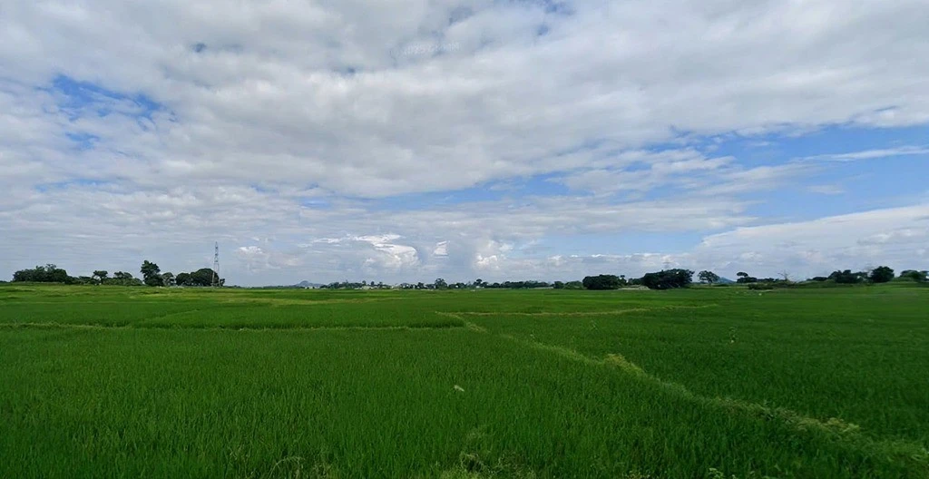 Sukurhutu, Jharkhand 834006, India