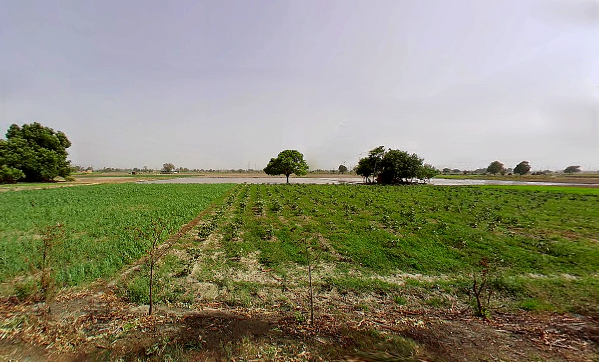 Bapauli, Haryana 132104, India