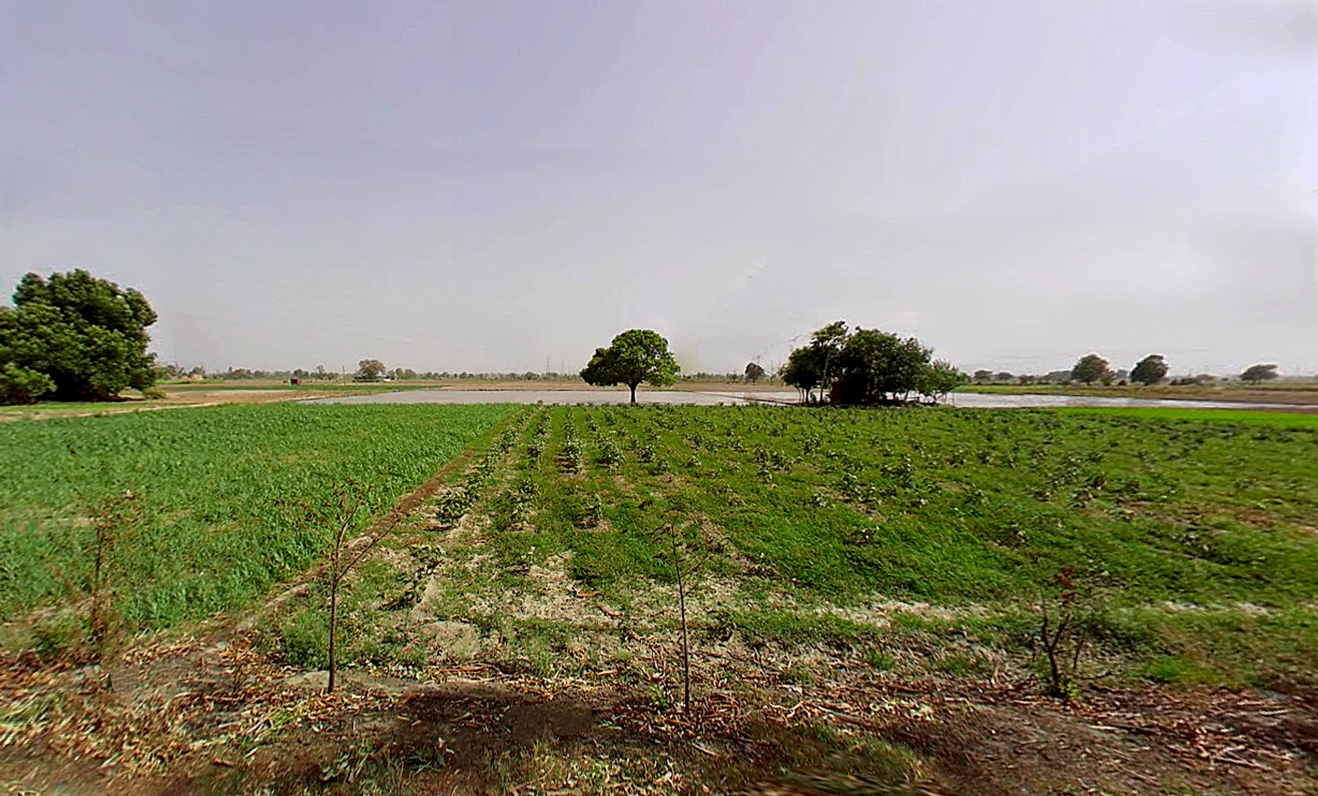 Bapauli, Haryana 132104, India