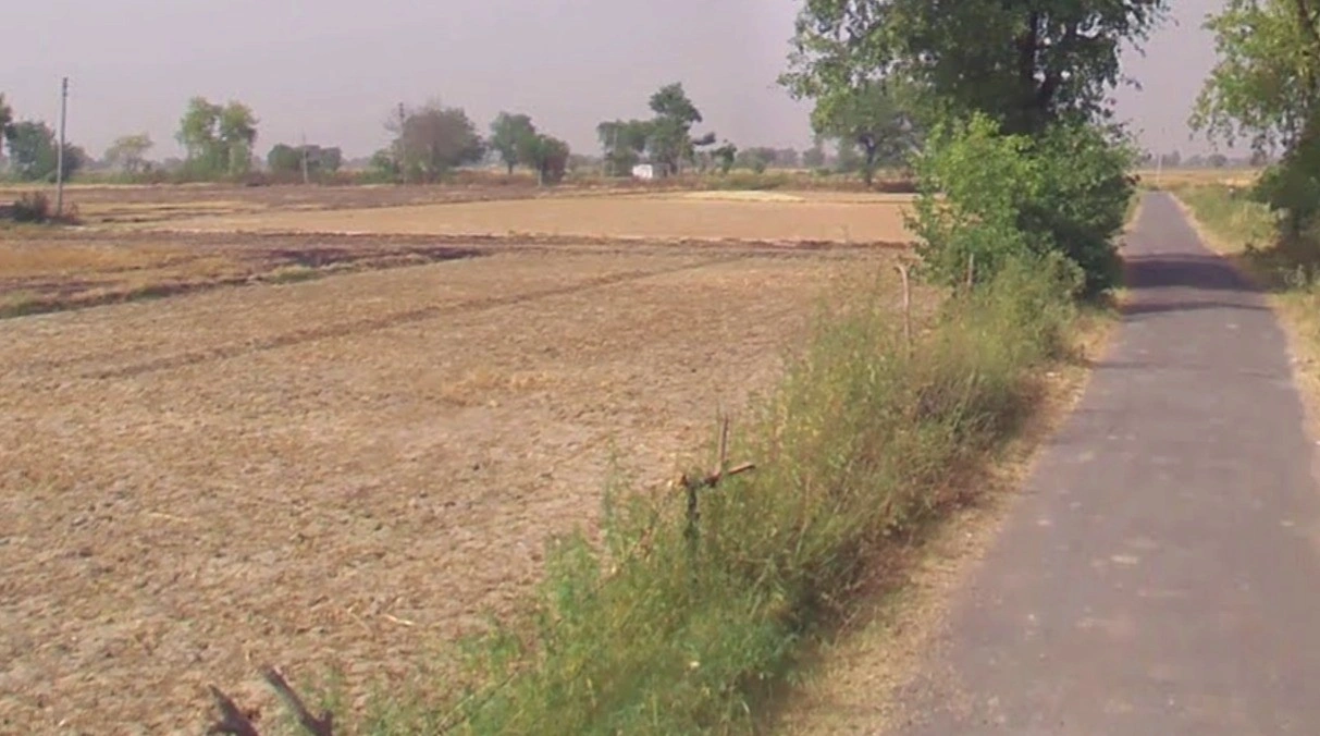 Rura, Uttar Pradesh 209303, India