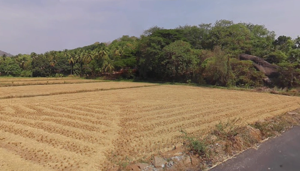 Vadakkencherry, Kerala, India