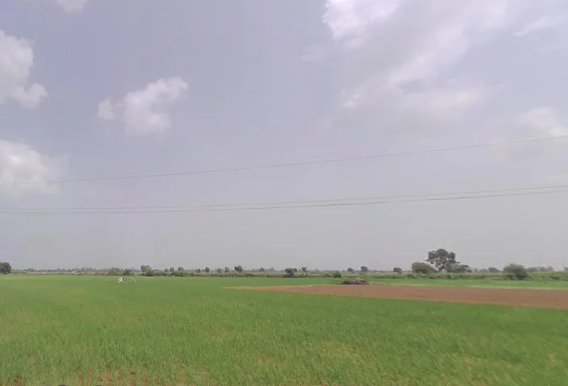 Meham, Haryana 124112, India