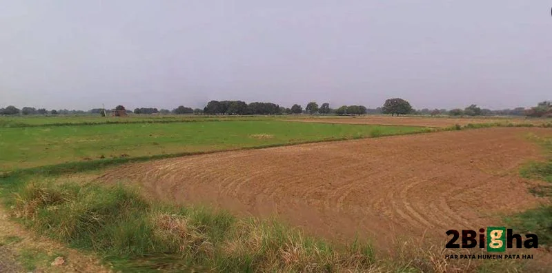 Muskara, Uttar Pradesh 210506, India preview 2